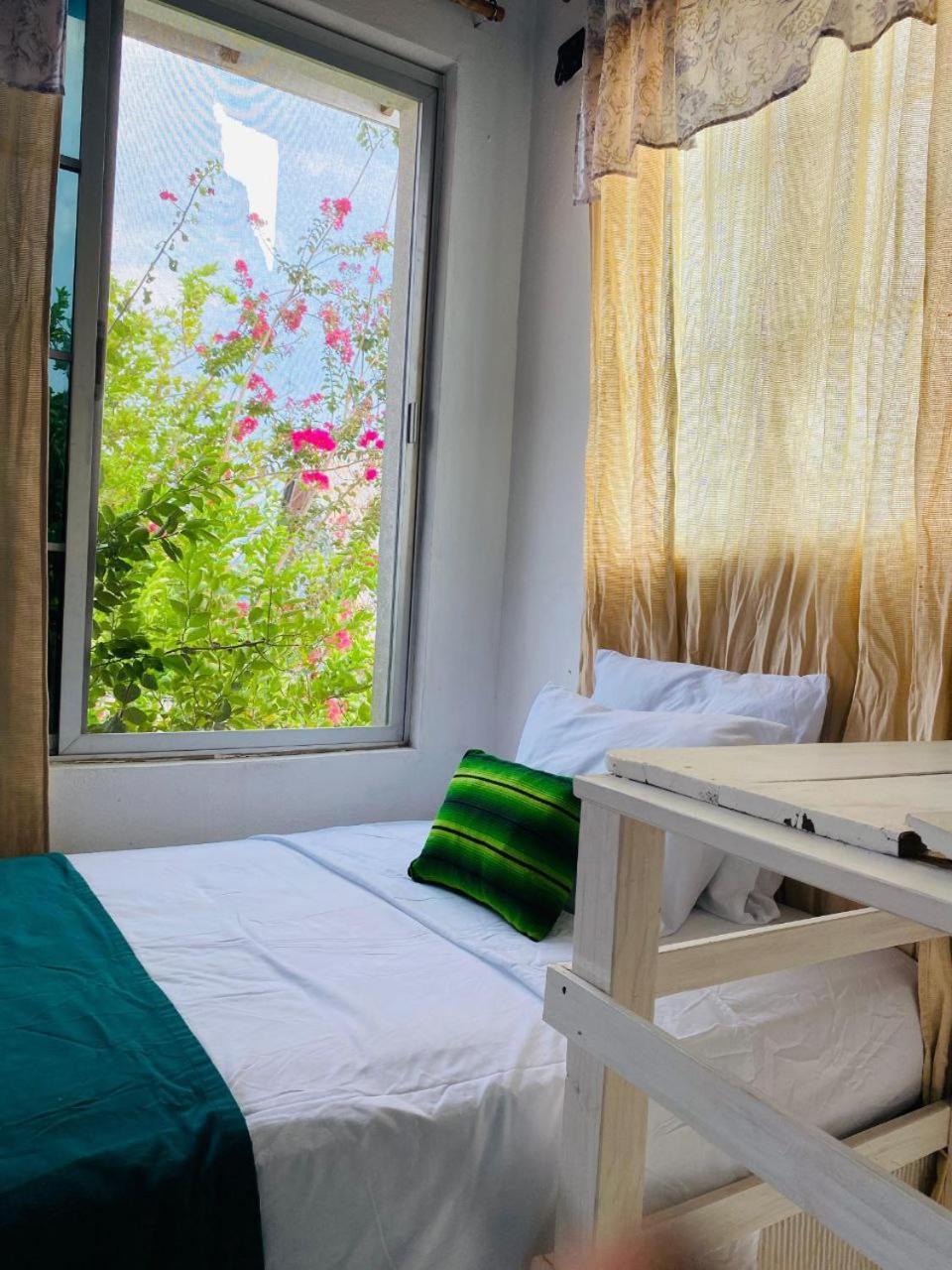 Casa Mima Hotell Flores Eksteriør bilde