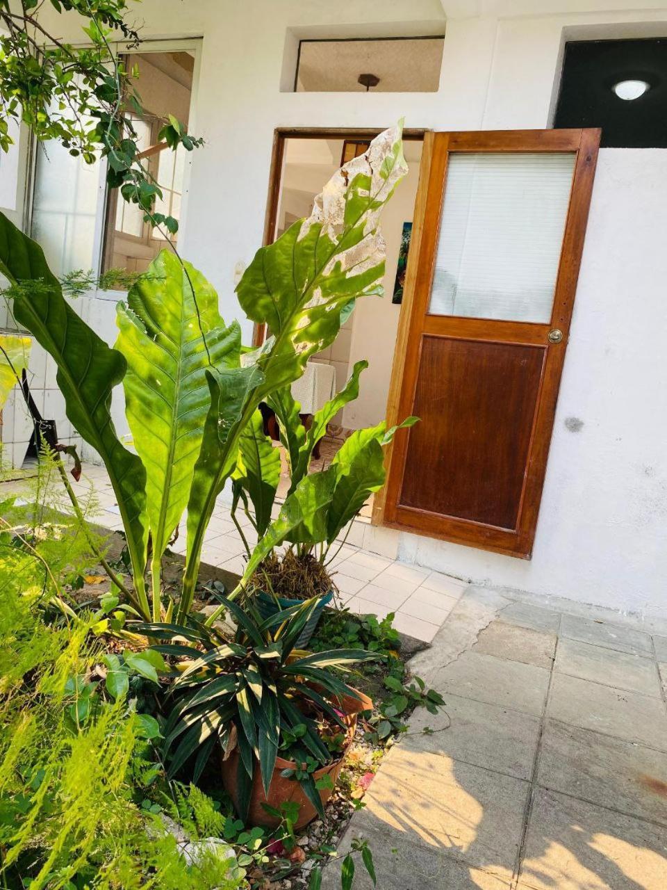 Casa Mima Hotell Flores Eksteriør bilde